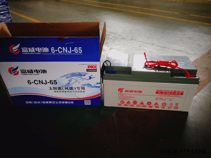 风帆蓄电池6-CNJ-65 胶体储能蓄电池图2