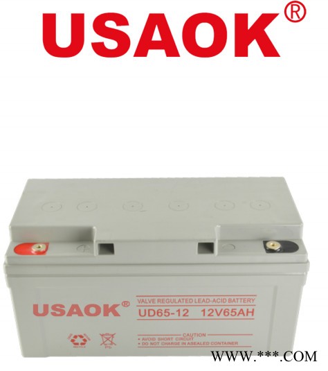 USAOK12V65AH铅酸免维护蓄电池 太阳能系统 监控专用 UPS专用