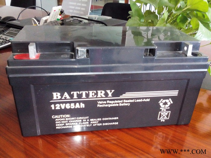 USAOK12V65AH铅酸免维护蓄电池 太阳能系统 监控专用 UPS专用图4