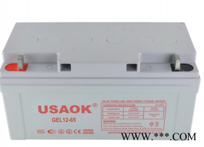 USAOK12V65AH铅酸免维护蓄电池 太阳能系统 监控专用 UPS专用图2