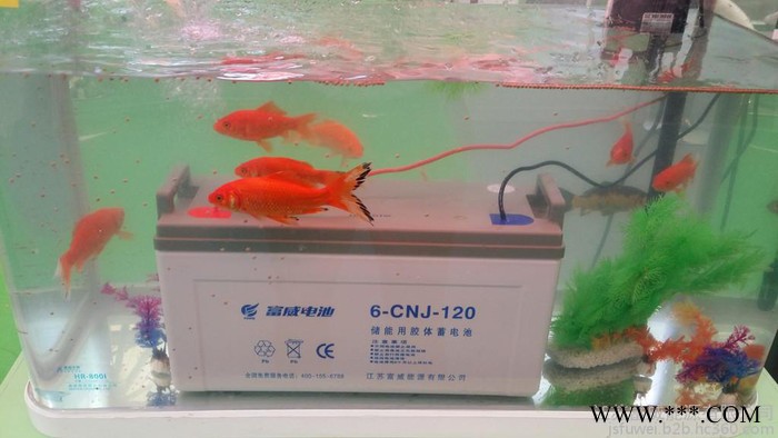 供应富威电池6-CNJ胶体蓄电池、太阳能电池、动力电池图3