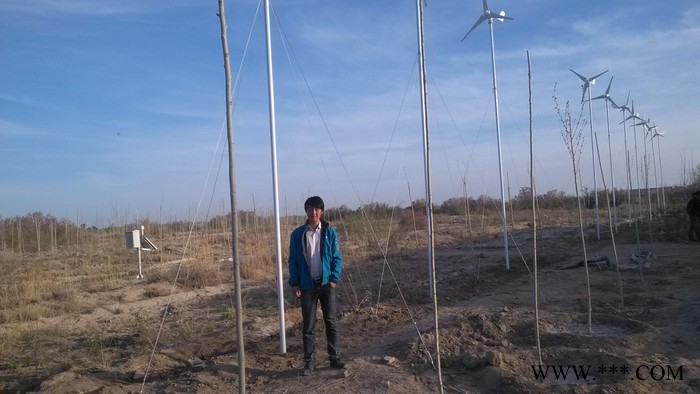 武威民勤沙漠治理 10kw风光互补供电系统、风光互补发电机 风格互补发电系统 太阳能风光互补发电系统图5
