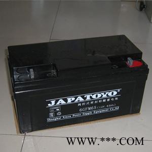 东洋蓄电池12V65AH 6GFM65 太阳能阀空UPS电源图2