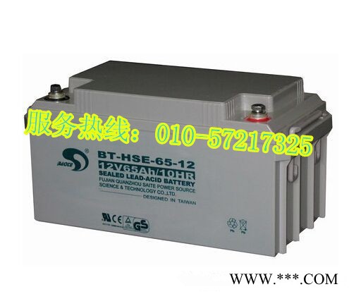 赛能蓄电池SN-12V65CH贵州 报价图2