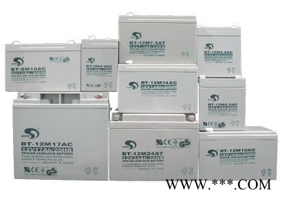 赛能蓄电池SN-12V65CH贵州 报价图3