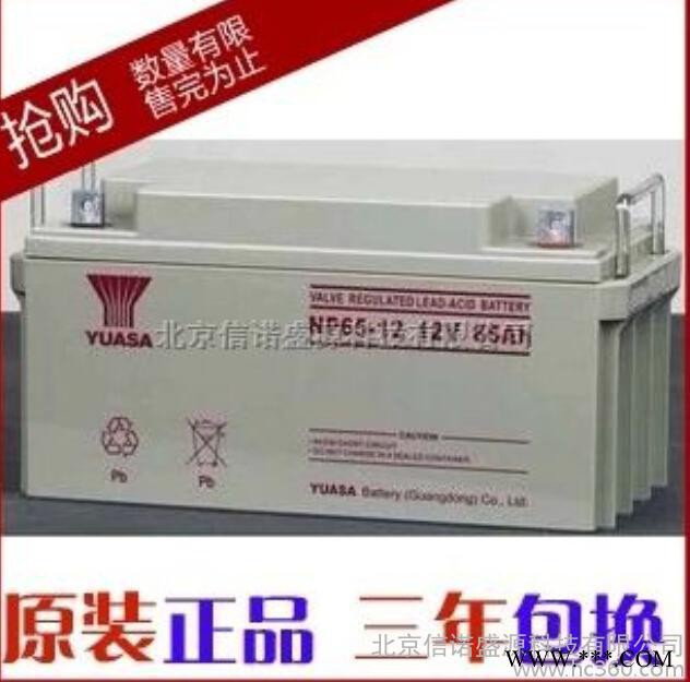 汤浅NP65-12（12V65AH）太阳能蓄电池图3