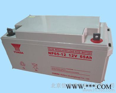 汤浅NP65-12（12V65AH）太阳能蓄电池图2