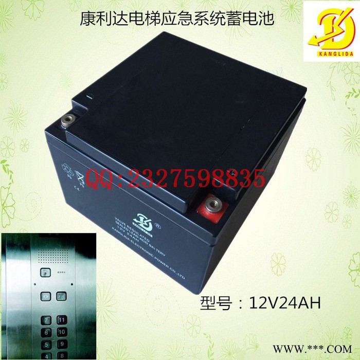 康利达12V24AH 电梯应急系统消防报警风能太阳能发电蓄电池图2