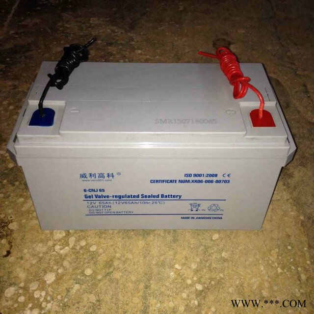 威利高科6-CNF-100蓄电池湖北恩施土家族新农村太阳能蓄电池（厂家直逼580） 胶体免维护蓄电池图3