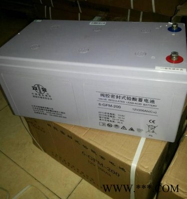 双登原装免维护蓄电池NP12V200AH专用UPSEPS直流屏能船舶足容量12v200AN图6