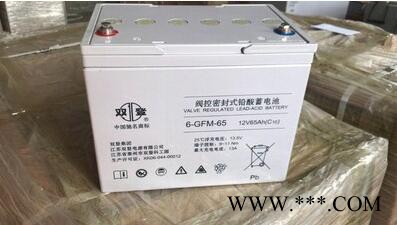 双登原装免维护蓄电池NP12V200AH专用UPSEPS直流屏能船舶足容量12v200AN图2