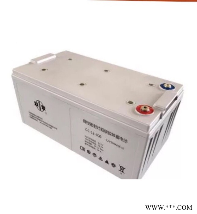 双登原装免维护蓄电池NP12V200AH专用UPSEPS直流屏能船舶足容量12v200AN图7