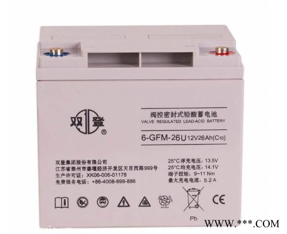 双登原装免维护蓄电池NP12V200AH专用UPSEPS直流屏能船舶足容量12v200AN图3