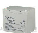BABY蓄电池FM/BB1275T 12V75AH后备储能应急蓄电池/原装图3