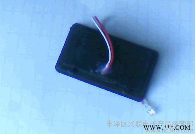 泉州直销 LED太阳能灯 太阳能灯笼 电池盒太阳能LED灯图3