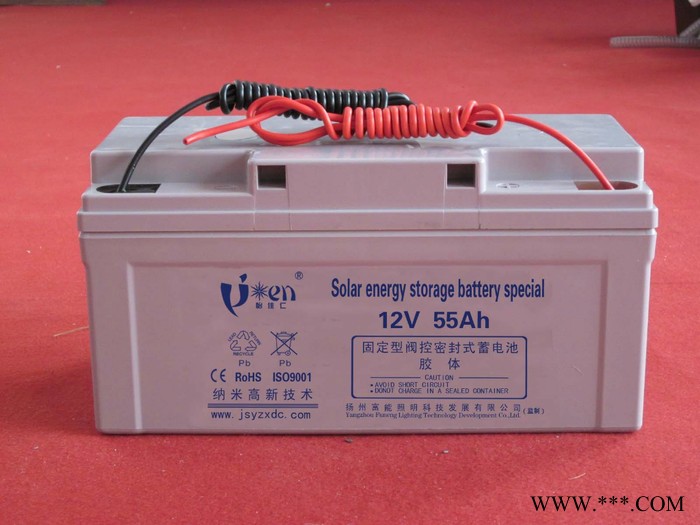 供应太阳能风能免维护储能蓄电池12V55AH图2