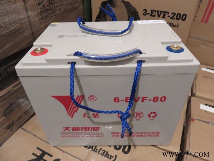 天能3EVF200AH蓄电池宁波总代理观光车巡逻车环卫船蓄电池图5