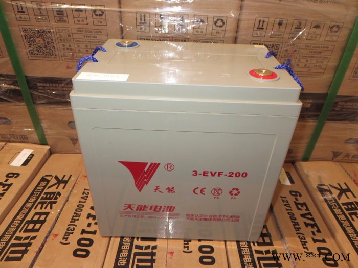 天能3EVF200AH蓄电池宁波总代理观光车巡逻车环卫船蓄电池图2
