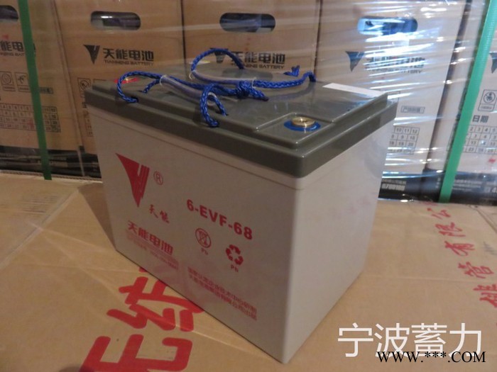 天能3EVF200AH蓄电池宁波总代理观光车巡逻车环卫船蓄电池图4