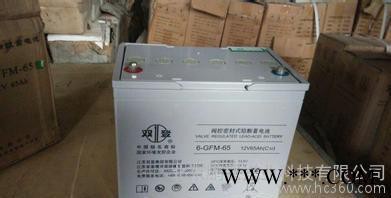 包邮 双登蓄电池6-GFM-200 铅酸免维护 12V200AH 储能蓄电池图2