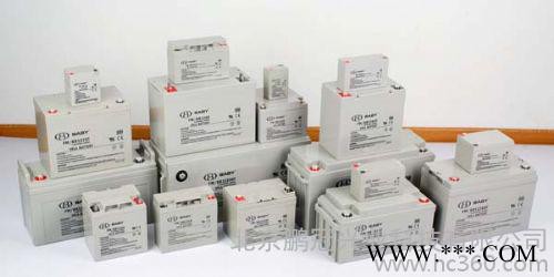 BABY蓄电池FM/BB1255T 12V55AH后备储能应急蓄电池/原装**图2
