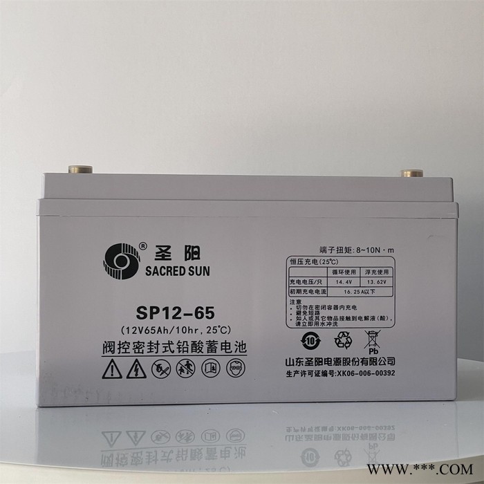 圣阳蓄电池SP12-24/38/65/80/100通信机房基站电力太阳能直流屏图5