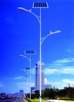 新炎光CD-XY356 成都太阳能路灯 LED灯 锂电池 太阳能路灯组件图7