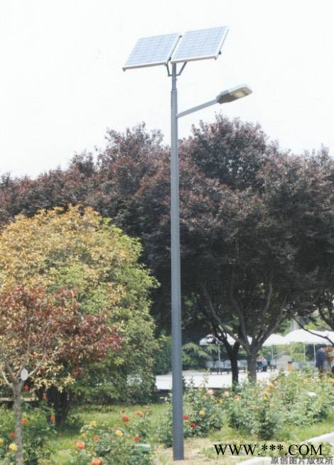 新炎光CD-XY356 成都太阳能路灯 LED灯 锂电池 太阳能路灯组件图3