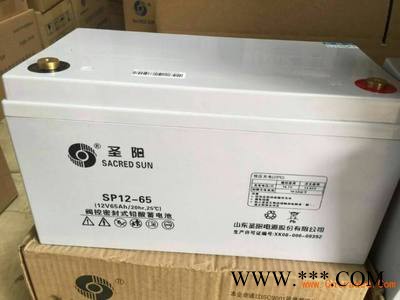 收藏宝贝圣阳蓄电池 SP12-42AH/24AH/65AH 直流屏 太阳能 UPS电源包邮图7