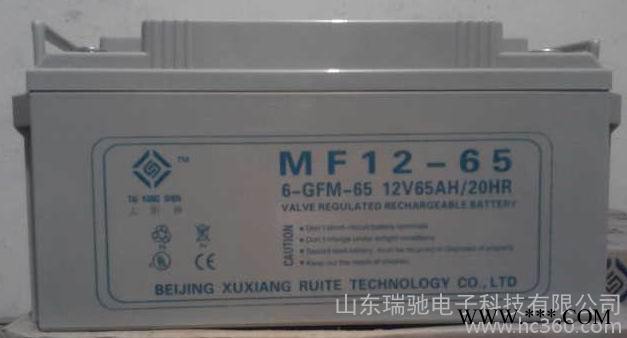 山东美国太阳神蓄电池6-GFM-100厂家报价/尺寸/参数图2