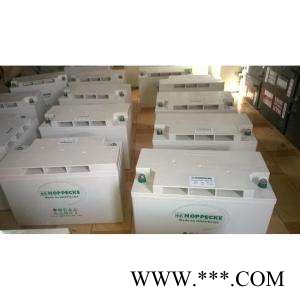 12V130AH德国松树荷贝克蓄电池12Vpower.com SB130太阳能电瓶包邮图2