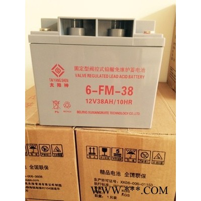 太阳神6-FM-100铅酸免维护蓄电池