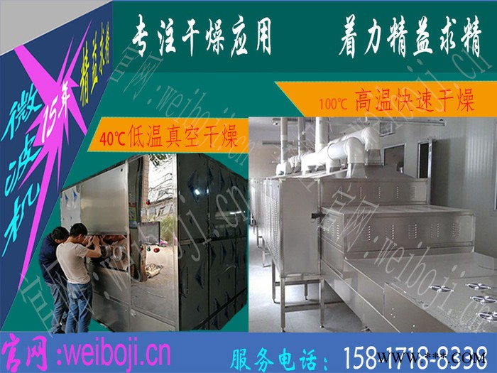 大型磷酸铁锂干燥设备 节能环保型磷酸铁锂微波干燥设备图6
