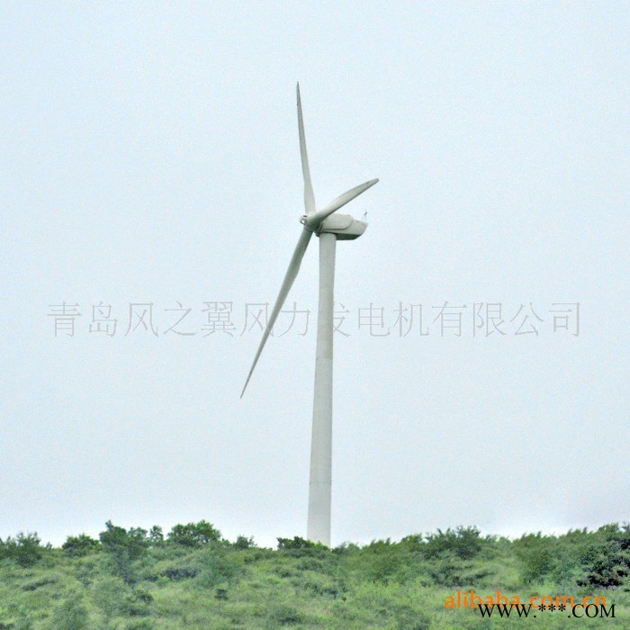 风力发电机，青岛风之翼小型可并网50KW风力发电机图2