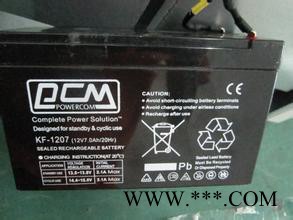 PCM匹西姆蓄电池KF12100/12V100AH 铅酸免维护蓄电池太阳能蓄电池 风力发电蓄电池 UPS蓄电池图5