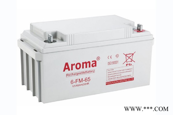 华龙AROMA蓄电池6-FM-40/12V40AH 铅酸免维护蓄电池 UPS/EPS不间断电源 风力发电储备电源图7