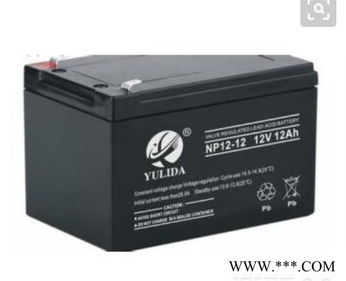 宇力达YULIDA蓄电池NP55-12/12V55AH 免维护铅酸蓄电池 UPS不间断电源 太阳能蓄电池 风力发电图2