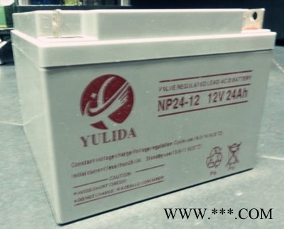 宇力达YULIDA蓄电池NP55-12/12V55AH 免维护铅酸蓄电池 UPS不间断电源 太阳能蓄电池 风力发电图8
