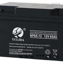 宇力达YULIDA蓄电池NP55-12/12V55AH 免维护铅酸蓄电池 UPS不间断电源 太阳能蓄电池 风力发电图6