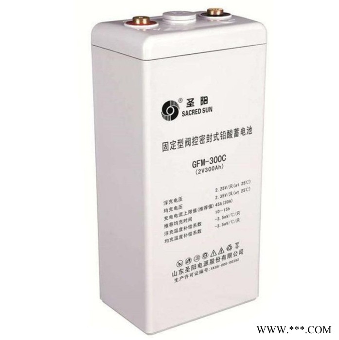 圣阳GFMD-100C阀控式密封铅酸蓄电池2V100AH图6