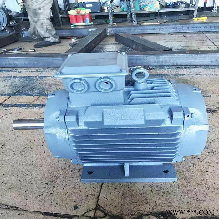 蓝润低速永磁发电机LR-3kw风力发电机380v永磁低速同步发电机 足功率免维护 永磁王磁钢低速足功率发电图4