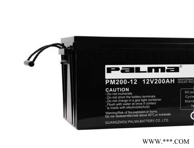 八马PALMA蓄电池PM250-12/12V250AH 铅酸免维护蓄电池 UPS/EPS不间断电源 风力发电储备电源图4