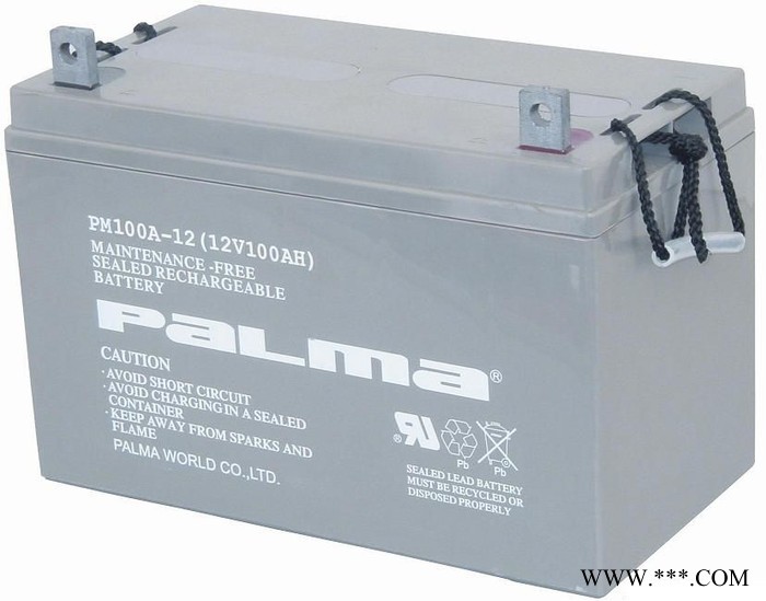 八马PALMA蓄电池PM250-12/12V250AH 铅酸免维护蓄电池 UPS/EPS不间断电源 风力发电储备电源图2