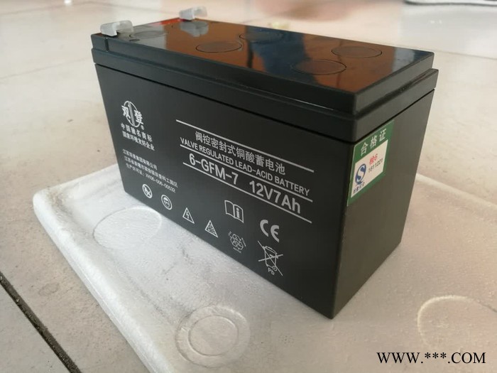双登蓄电池 6-GFM-150/12V150AH铅酸免维护蓄电池 UPS/EPS不间断电源 风力发电储备电源 应急消防图6