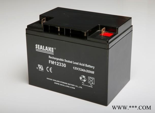 海湖SEALAKE蓄电池FM122000/12V200AH UPS蓄电池 风力发电 太阳能储备电源 消防机房应急电源图5