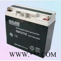海湖SEALAKE蓄电池FM122000/12V200AH UPS蓄电池 风力发电 太阳能储备电源 消防机房应急电源图6