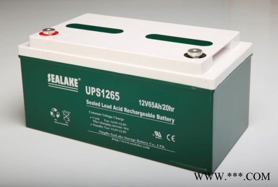海湖SEALAKE蓄电池FM122000/12V200AH UPS蓄电池 风力发电 太阳能储备电源 消防机房应急电源图2
