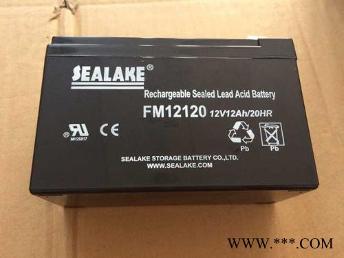 海湖SEALAKE蓄电池FM122000/12V200AH UPS蓄电池 风力发电 太阳能储备电源 消防机房应急电源图4