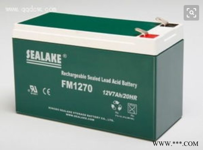 海湖SEALAKE蓄电池FM122000/12V200AH UPS蓄电池 风力发电 太阳能储备电源 消防机房应急电源图3