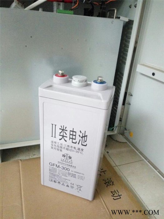 双登蓄电池GFM-400 风力发电蓄电池 铅酸免维护蓄电池 太阳能蓄电池 蓄电池厂家 直流屏专用图7